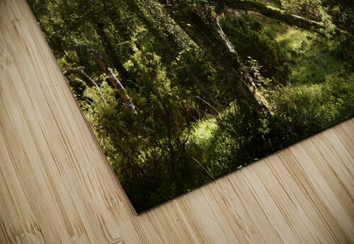 Scottish Highlands Forest Scene  Catriona Roberts Nature Photography and Designs puzzle