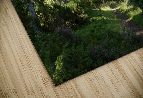Nature Walk Through The Scottish Highlands  Catriona Roberts Nature Photography and Designs puzzle