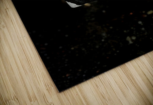 Everyday Life s Moments The Bench  Catriona Roberts Nature Photography and Designs puzzle