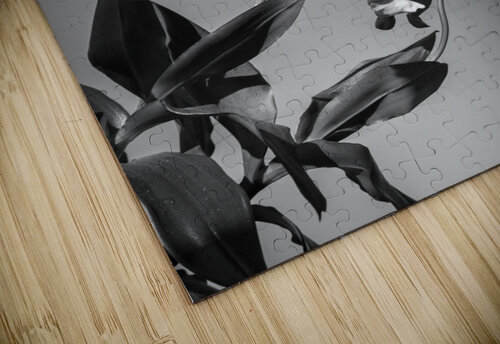 Purple Dendrobium Orchids X12 1 Rich Franco puzzle