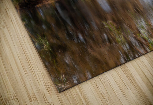 Autumn Glow Kim Hexter Photography puzzle