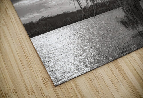 One Lone Cypress  Tree Silhouette Norma Brandsberg Photography puzzle