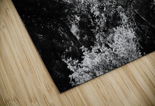 Summers Nature Path in the Scottish Highlands in Black and White Catriona Roberts Nature Photography and Designs puzzle