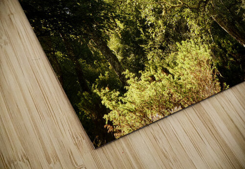 Summers Nature Path Too in the Scottish Highlands Catriona Roberts Nature Photography and Designs puzzle