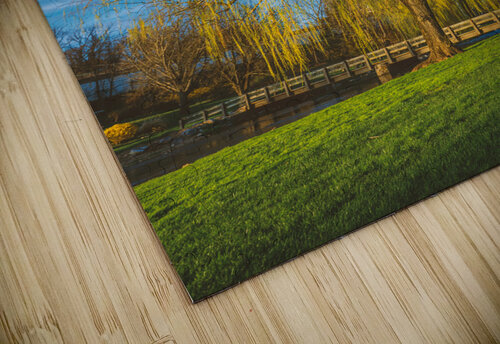 Yellow Weeping Willow Portrait Jason Fink puzzle