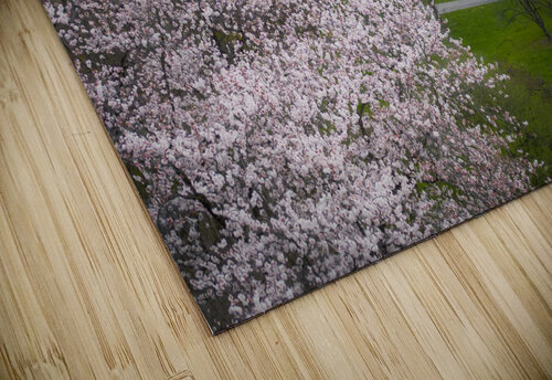 Star Magnolia By the Fish Hatchery Jason Fink puzzle
