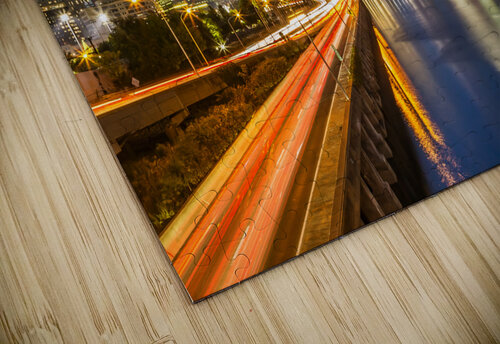 Dynamic Philadelphia  Melanie Viola puzzle