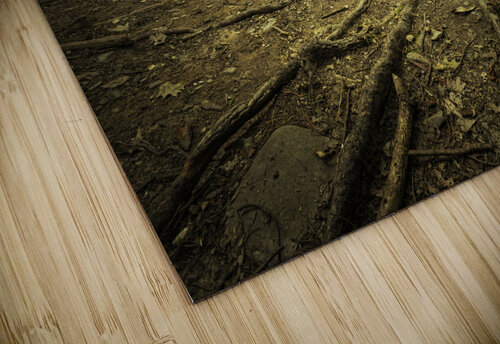 Wild Creek Cove Natural Surroundings Jason Fink puzzle