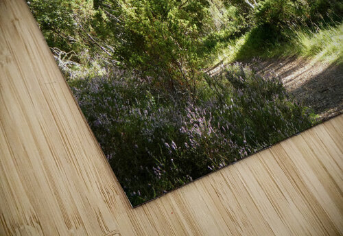 Natures Summer Embrace in the Scottish Highlands Catriona Roberts Nature Photography and Designs puzzle
