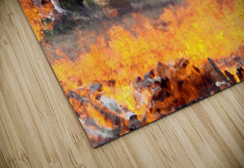 Fire walking festival in Japan DELPHIMAGES puzzle