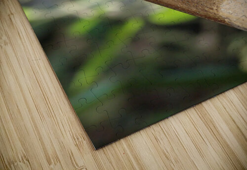 Shishi Odoshi japanese bamboo fountain DELPHIMAGES puzzle