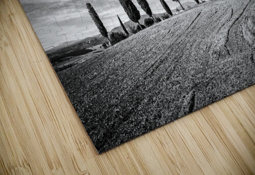 Iconic tuscan farm landscape - Black and white DELPHIMAGES puzzle