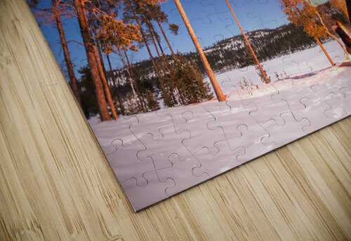 Northern lights by the lake DELPHIMAGES puzzle