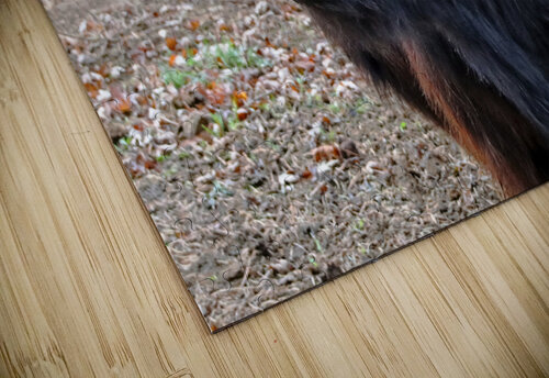 Moo I Deb Oppermann puzzle