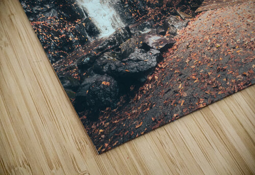 Buttermilk Falls and DL Trail in Autumn Jason Fink puzzle