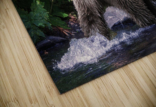 Beautiful Bear Dave Veith puzzle