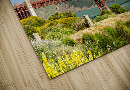 Golden Gate Bridge in San Francisco in spring  caladoart puzzle
