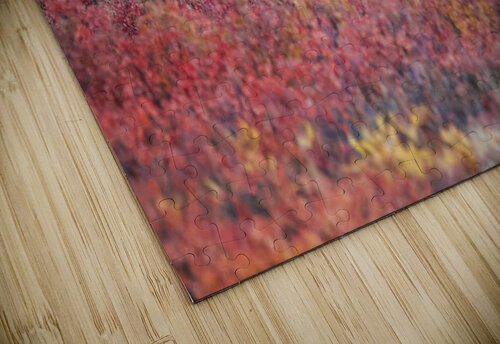 Denali Bear in Red Heather Dave Veith puzzle