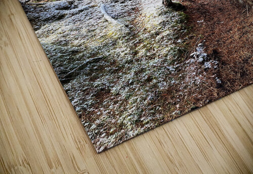 Scenes from the Trail- Winter Nature Walk Catriona Roberts Nature Photography and Designs puzzle