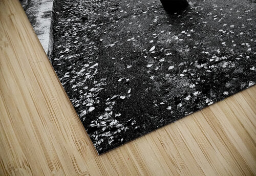 Everyday Lifes Moments- The Trails Await Catriona Roberts Nature Photography and Designs puzzle