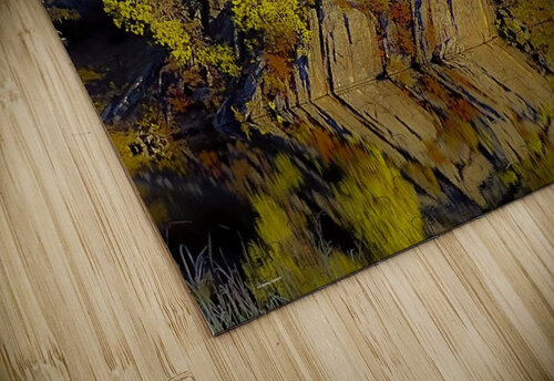 Natures Arrow Susan Diann Photography puzzle