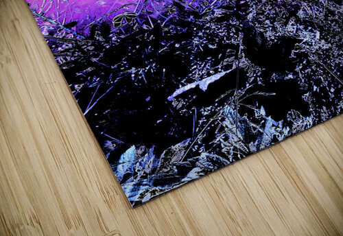 Abstract Vivid Daisy Flowers Catriona Roberts Nature Photography and Designs puzzle