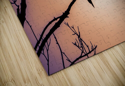 Bird Silhouette Sunset Jason Fink puzzle