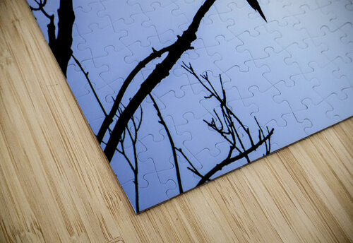 Bird Silhouette Light Blue Jason Fink puzzle