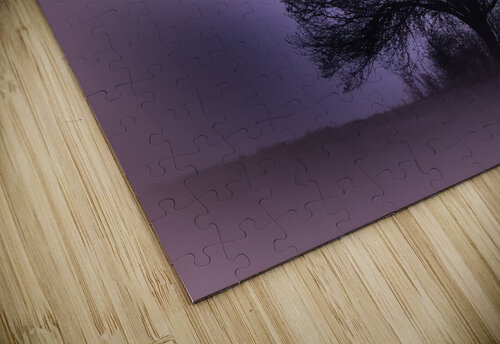  Moonlight  Hilltop Tree Perfection Norma Brandsberg Photography puzzle