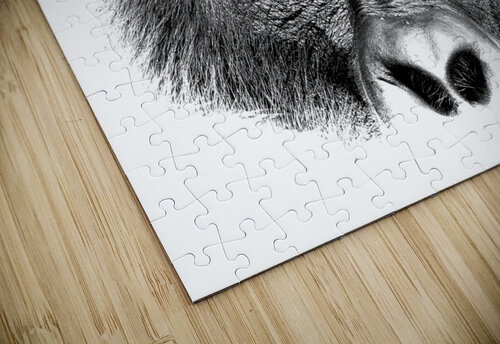 Gaze of Bahati B&W Nate Solo puzzle