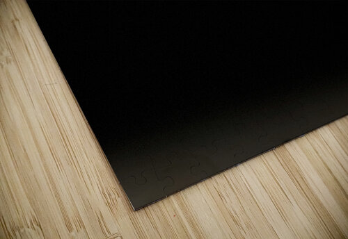 Portrait of Plants- Delicate Fabric Roses Catriona Roberts Nature Photography and Designs puzzle