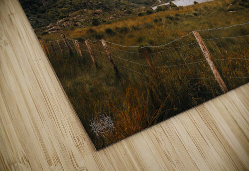 Dunloe Morning Nate Solo puzzle