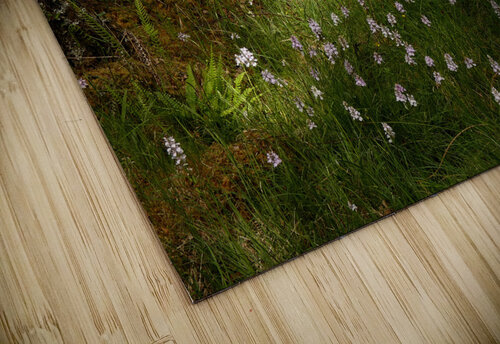 Scenes from the Trail  Nature s Pallette in the S Catriona Roberts Nature Photography and Designs puzzle