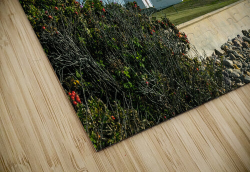 Seagull Flies Near Watch Hill Lighthouse in Rhode Island Allan Wood puzzle