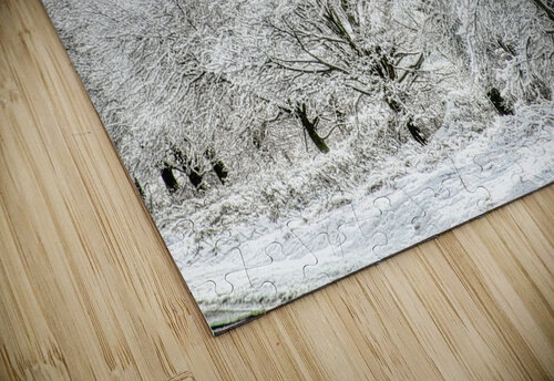 Wrapped in a Blanket of Ice Thea Menagh puzzle