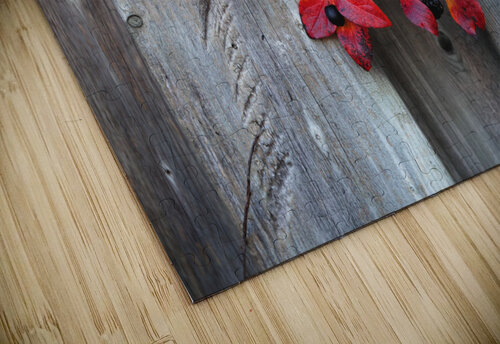 Back on Your Own Side Thea Menagh puzzle