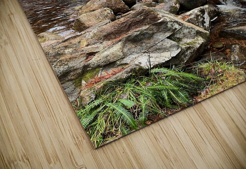 Winters Secret Waterfall in the Scottish Highlands Catriona Roberts Nature Photography and Designs puzzle