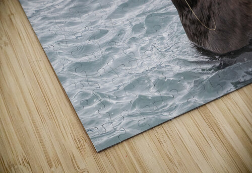 Sea Lion Mustaches: Whiskers of the Ocean Caio Paagman Photography puzzle