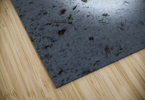 Scenes from the Trail- Hunting for Treats Catriona Roberts Nature Photography and Designs puzzle