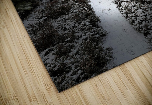 Scenes from the Trail- Snowy Path Catriona Roberts Nature Photography and Designs puzzle