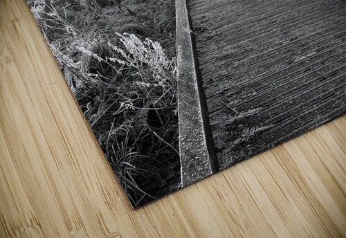 A Frosty Nature Walk Through The Scottish Highlands  Catriona Roberts Nature Photography and Designs puzzle