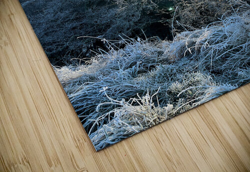 Frosty Morning in the Scottish Highlands   Catriona Roberts Nature Photography and Designs puzzle