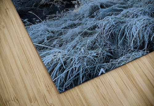 Frosty Nature in the Scottish Highlands  Catriona Roberts Nature Photography and Designs puzzle