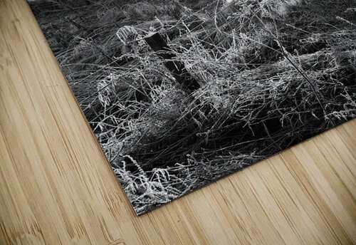 Winters Frosty Embrace for the Scottish Highlands Catriona Roberts Nature Photography and Designs puzzle