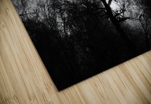  Winters Light and Shadow in the Scottish Highlands Catriona Roberts Nature Photography and Designs puzzle