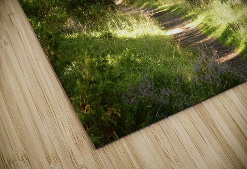 Summers  Golden Path Through the Scottish Highlands Catriona Roberts Nature Photography and Designs puzzle