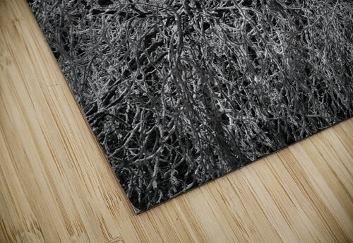 Frosty Birch Tree of the Scottish Highlands  Catriona Roberts Nature Photography and Designs puzzle