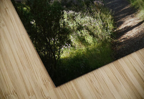 Natures Adventure Path in the Scottish Highlands Catriona Roberts Nature Photography and Designs puzzle