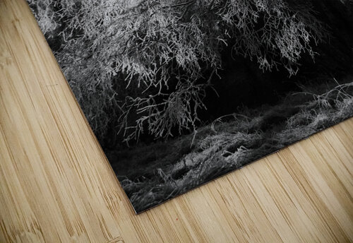 Winters Frosty Beauty in the Scottish Highlands in Black and White Catriona Roberts Nature Photography and Designs puzzle