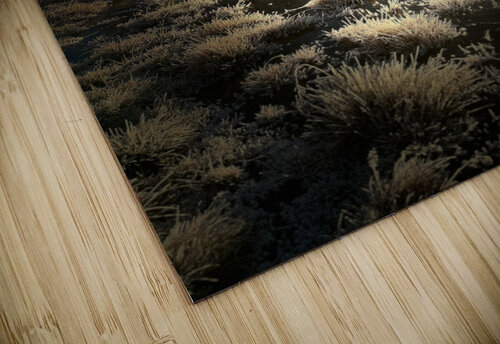 Winter Sun in the Scottish Highlands  Catriona Roberts Nature Photography and Designs puzzle